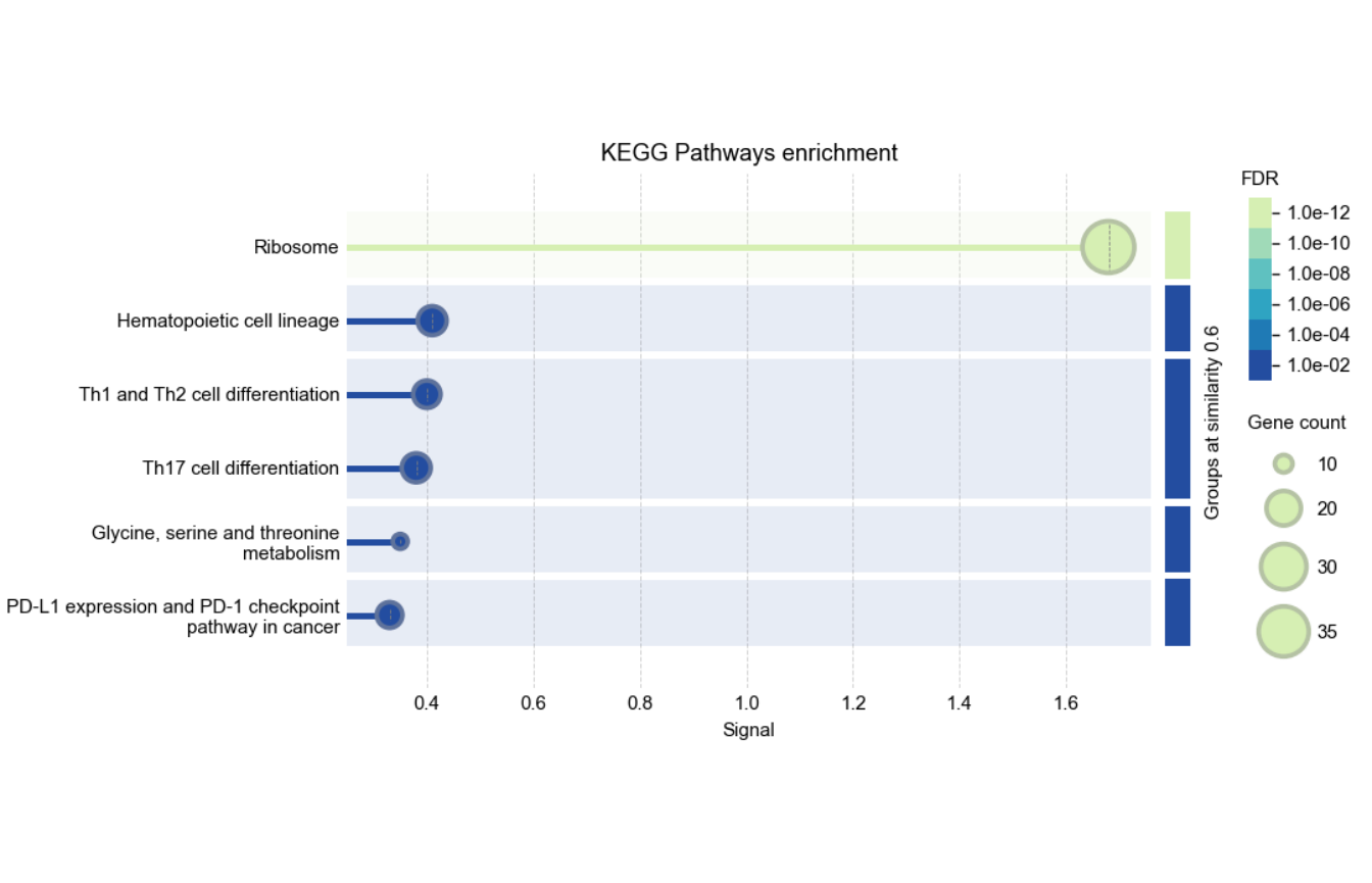 Visualization of enrichment analysis results