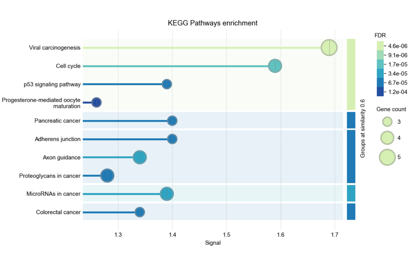 Visualization of enrichment analysis results